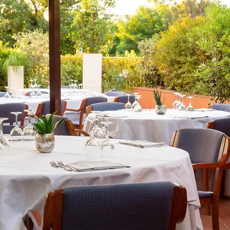 미네르바 아레초