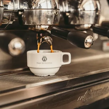 호텔 미네르바 아레초
