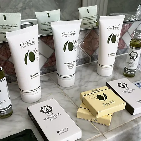 미네르바 호텔 4*