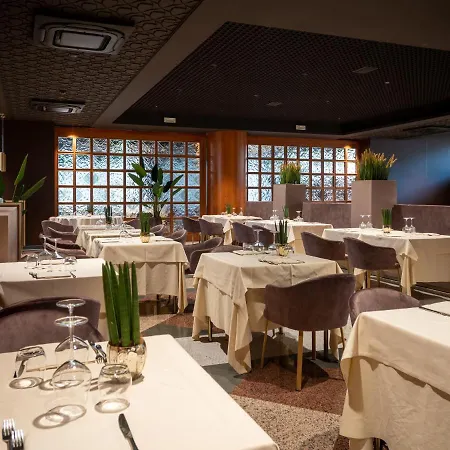 미네르바 아레초